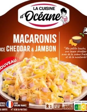 Plat Cuisiné Gratin Macaronis Sauce Cheddar et Jambon CUISINE OCEANE